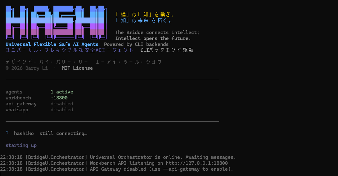 HASHI Server Startup